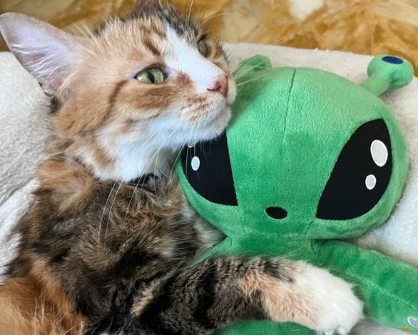 Agatha con il suo plushie